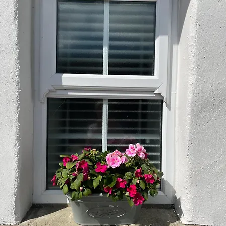 The Cottage At Ashbrook - Charming Country Cottage Near Belfast Exterior photo